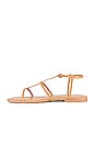 view 5 of 5 Corinth Sandal in Natural