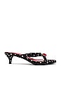 view 1 of 5 SANDALIA LA-GLOIRE in Black White Polkadot Cherry
