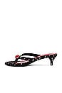 view 5 of 5 SANDALIA LA-GLOIRE in Black White Polkadot Cherry