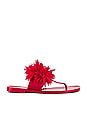 view 1 of 5 Pollinate Sandal in Red Shiny