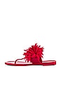 view 5 of 5 Pollinate Sandal in Red Shiny