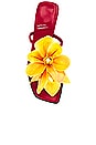 view 4 of 5 Mauna-Kea Sandal in Red Yellow Combo
