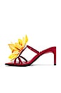 view 5 of 5 Mauna-Kea Sandal in Red Yellow Combo