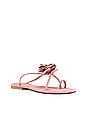 view 2 of 5 Tropico Sandal in Light Pink Suede