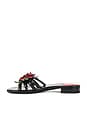 view 5 of 5 Enchanted Sandal in Black Patent Red