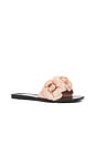 view 2 of 5 Floralee Sandal in Blush Shiny & Black Shiny