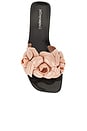 view 4 of 5 Floralee Sandal in Blush Shiny & Black Shiny