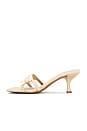 view 5 of 5 Abalone Sandal in Beige Suede Combo