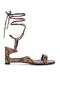 view 1 of 5 Reversed Sandals in Brown
