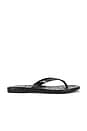 view 1 of 5 Kierra Slippers in Black Croco