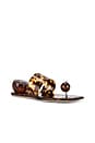 view 2 of 5 Prophesy Sandals in Tortoise