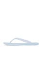 view 5 of 5 Beach Day Flip Flops in Light Blue