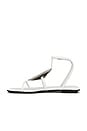 view 5 of 5 SANDÁLIAS CALANTHE in White Patent Silver