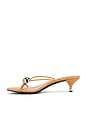view 5 of 5 Preciosa Sandals in Camel & Silver
