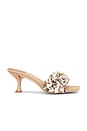 view 1 of 5 Shellbi Sandals in Natural Multi