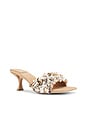 view 2 of 5 Shellbi Sandals in Natural Multi