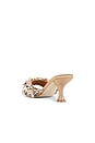 view 3 of 5 Shellbi Sandals in Natural Multi