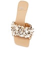 view 4 of 5 Shellbi Sandals in Natural Multi