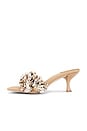 view 5 of 5 Shellbi Sandals in Natural Multi