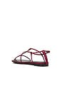 view 3 of 5 Trawl Sandals in Red Black Snake