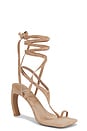 view 2 of 5 Bon-Bon Sandal in Dark Beige Suede