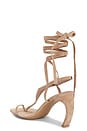 view 3 of 5 Bon-Bon Sandal in Dark Beige Suede
