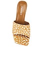 view 4 of 5 Capital-F Sandal in Beige White Spot