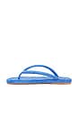 view 5 of 5 Jia-TC Sandal in Blue