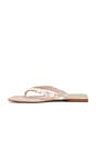 view 5 of 5 SANDALIA RAIDNE-SH in Beige Suede