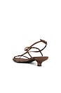 view 3 of 5 Trawl-MD Sandal in Espresso Satin