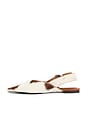 view 5 of 5 Scone-F Flat in Tan White Longhair