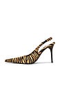 view 5 of 5 You Wish-F Slingback in Beige & Brown Zebra