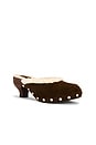 view 2 of 5 ZUECO CLOGUETE-S in Brown