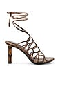 view 1 of 5 Scintilla Sandal in Brown Multi Python