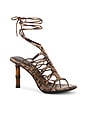 view 2 of 5 Scintilla Sandal in Brown Multi Python