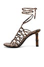 view 5 of 5 Scintilla Sandal in Brown Multi Python