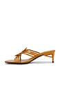 view 5 of 5 Amenity Sandal in Camel