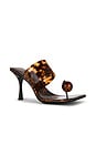 view 2 of 5 Aqueous Sandal in Tortoise