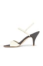 view 5 of 5 Calla Sandal in White & Grey Combo