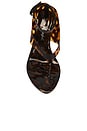 view 4 of 5 Ysabela Sandal in Tortoise