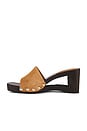 view 5 of 5 Foresee Sandal in Camel Suede