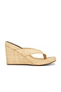 view 1 of 5 Liezel Sandal in Natural Raffia