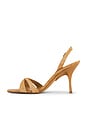 view 5 of 5 MARIELLE サンダル in Camel Suede