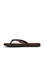 view 5 of 5 Moana Sandal in Brown Canvas