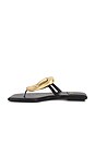 view 5 of 5 Linques 2 Flat Sandal in Black & Gold