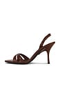 view 5 of 5 MARIELLE 샌들 in Brown