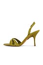 view 5 of 5 SANDALIA MARIELLE in Chartreuse Suede