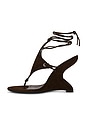 view 5 of 5 SANDALIA PACHOULI in Espresso Suede