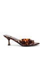 view 1 of 5 Spy Kid Sandal in Tortoise