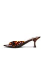 view 5 of 5 Spy Kid Sandal in Tortoise